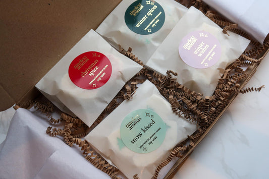 Christmas Wax Melt Gift Set – 4 Festive Soy Wax Melts | Winter Scents Collection